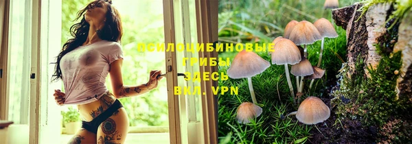 молекула духа Балахна