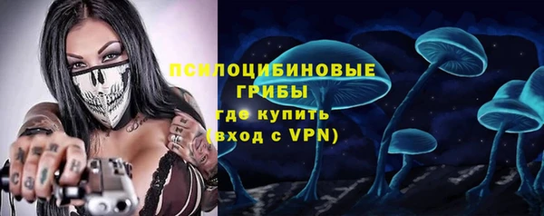 молекула духа Балахна
