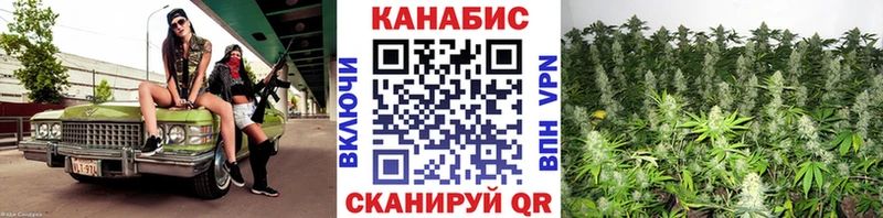 Бошки Шишки конопля  Отрадная 